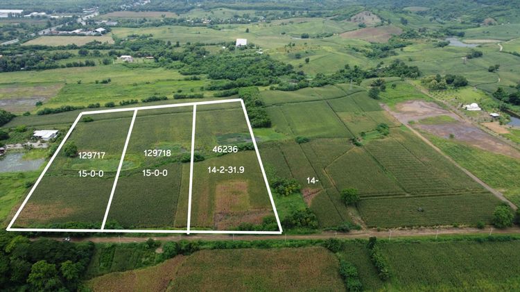 ที่ดินแปลงใหญ่ ใกล้เมือง วิวภูเขา ตำบลบ้านโตก อำเภอเมืองเพชรบูรณ์ จังหวัดเพชรบูรณ์ รูปที่ 2