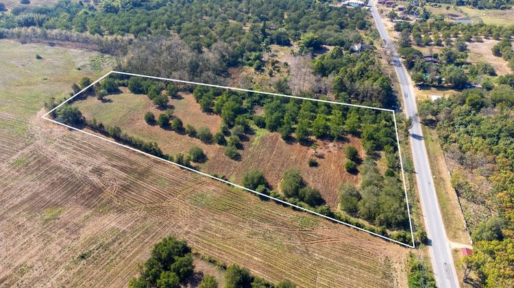 ขายที่ดินแปลงใหญ่ ทำเลสวย วิวภูเขารอบทิศ อากาศดีตลอดปี ต.พุทธบาท อ.ชนแดน จ.เพชรบูรณ์ รูปที่ 3