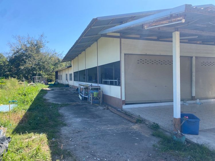 ไม่มี 2020 ขายบ้านราคาถูก รูปที่ 3