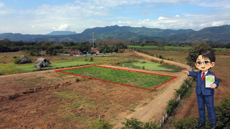 แปลงเดียว…ที่ได้ทั้งภูเขา น้ำ และความเป็นส่วนตัว  วิวภูเขาสวยที่สุดในโครงการ ไม่มีใครสร้างบ้านบังวิว รูปที่ 4