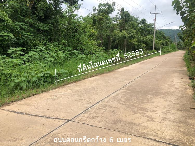 ขายที่ดินวิวภูเขา ทำเลดี ใกล้เมืองเพชรบูรณ์ รูปที่ 2