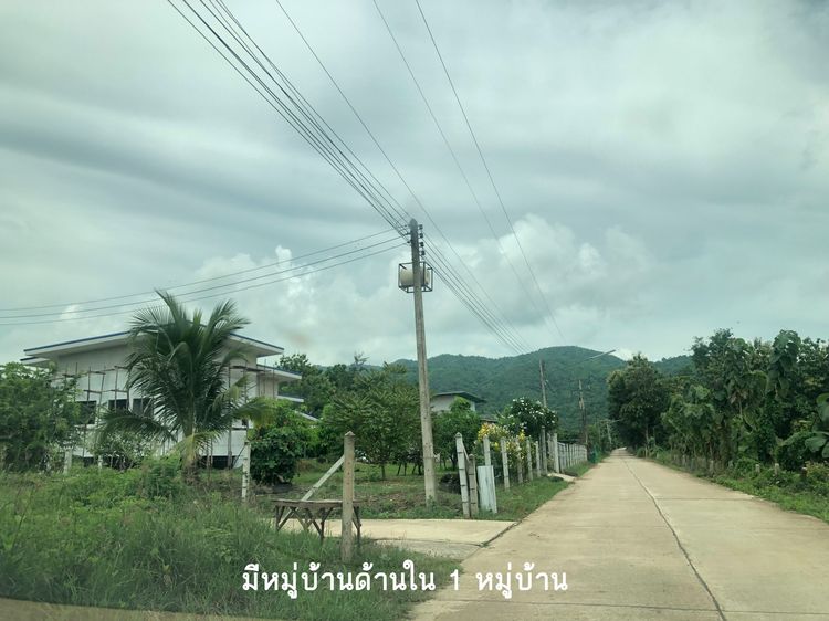 ขายที่ดินวิวภูเขา ทำเลดี ใกล้เมืองเพชรบูรณ์ รูปที่ 4