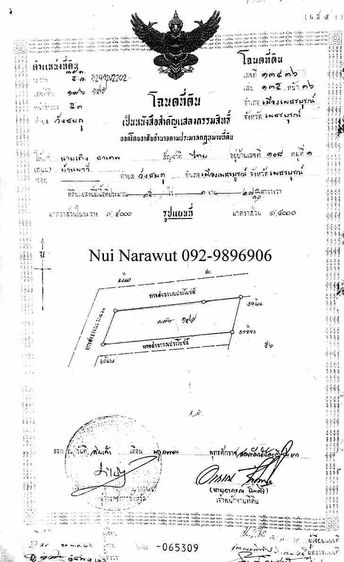 ขายที่ดินสวย เพชรบูรณ์ พร้อมโอน โฉนดครุฑแดง นส.4 จ. ปลอดภาระ รูปที่ 4