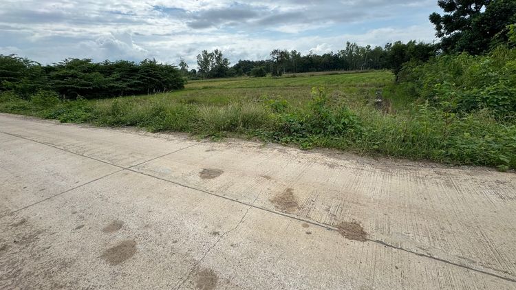 ที่ดินแปลงสวย วิวภูเขา เพชรบูรณ์ 📍 เนื้อที่ 5 ไร่ 2 งาน 23.4 ตร.ว. ตำบลวังชมภู อำเภอเมือง จังหวัดเพชรบูรณ์ ✔ ไม่ไกลตัวเมือง