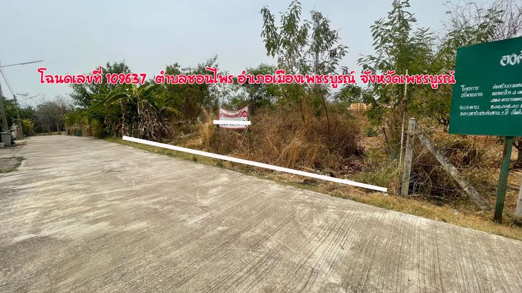 ายที่ดินสวย ทำเลทอง ซอยเพิ่มสุข ใกล้รร.เซนโยเซฟศรีเพชรบูรณ์ รูปที่ 2