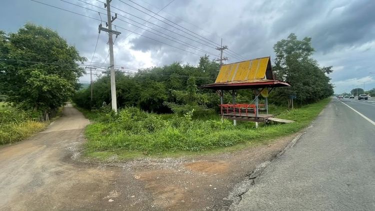 ขายที่ดินวิวภูเขา แปลงสวย ทำเลดี ติดถนนสระบุรี–หล่มสัก  บ้านยาวี ต.วังชมภู อ.เมืองเพชรบูรณ์ จ.เพชรบูรณ์