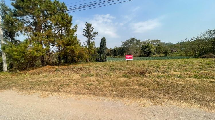 ที่ดินโฉนดครุฑแดง ทำเลทอง ในโครงการภูหมอกวิลเลจ เขาค้อ เพชรบูรณ์ 