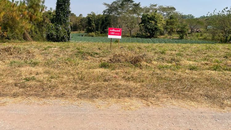 ที่ดินโฉนดครุฑแดง ทำเลทอง ในโครงการภูหมอกวิลเลจ เขาค้อ เพชรบูรณ์ รูปที่ 2