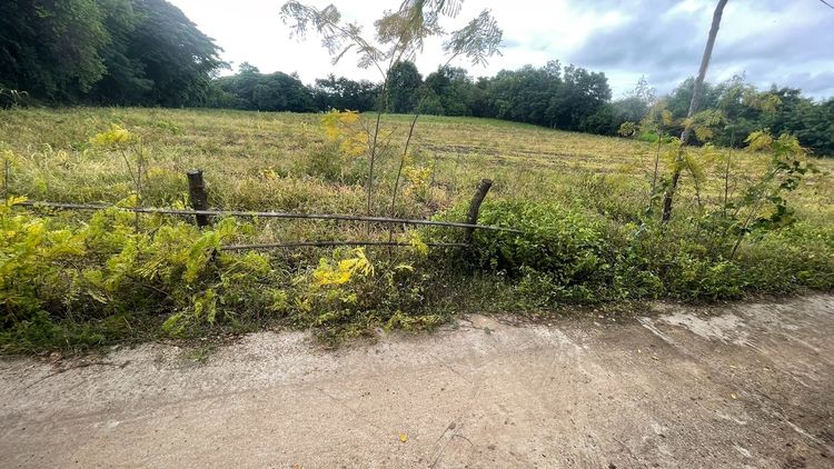 ขายที่ดินทำเลดี ใกล้ อบต.ชอนไพร เพชรบูรณ์ รูปที่ 3