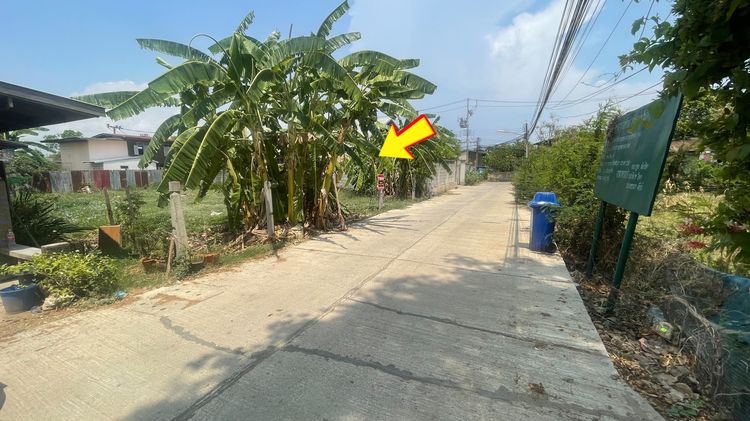 ขายที่ดินแปลงสวย ในเมืองเพชรบูรณ์ ขนาด 104 ตารางวา ทำเลดีเยี่ยม ซอยพระพุทธบาท 7 (เบธเลแฮม) รูปที่ 4