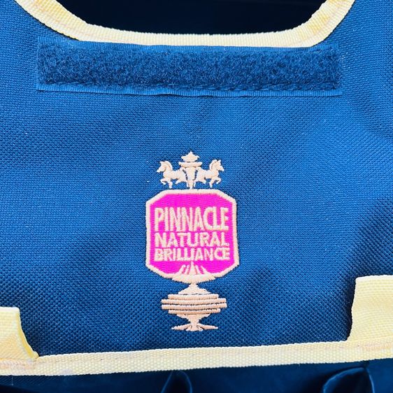 กระเป๋าเครื่องมือน้ำยา Pinnacle Detailer's Bag รูปที่ 3
