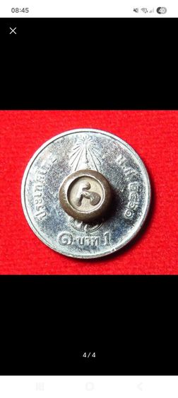 เม็ดนโม รูปที่ 4