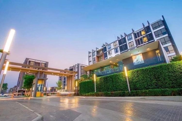 อื่นๆ ไม่อนุญาต ตกแต่งครบ ให้เช่าคอนโด atTree (แอททรี) พิษณุโลก – ตึก EAST ชั้น 5 รูปที่ 2