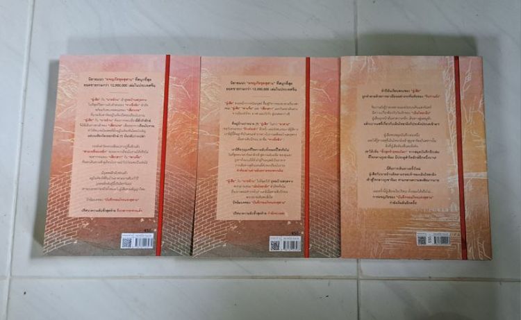 บันทึกจอมโจรแห่งสุสาน ดอกไม้ทะเลทิเบต 2 เล่ม   รูปที่ 3