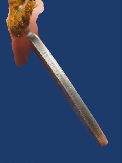 หลวงพ่อเดิม รูปที่ 4