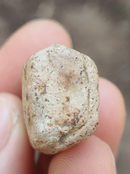 พระคงลำพูน รูปที่ 9