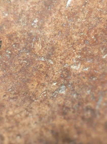 พระกำแพงซุ่มกอครับ รูปที่ 10