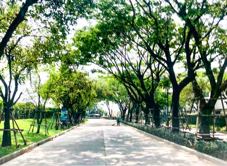 Sansiri ตกแต่งครบ 2022 ไม่ใช่ ขายบ้านเดี่ยว รูปที่ 2