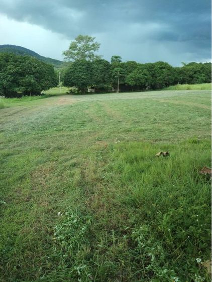 ขายที่ดินเชียงใหม่ แม่ริม รูปที่ 3