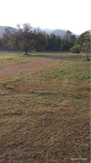 ขายที่ดินเชียงใหม่ แม่ริม รูปที่ 2