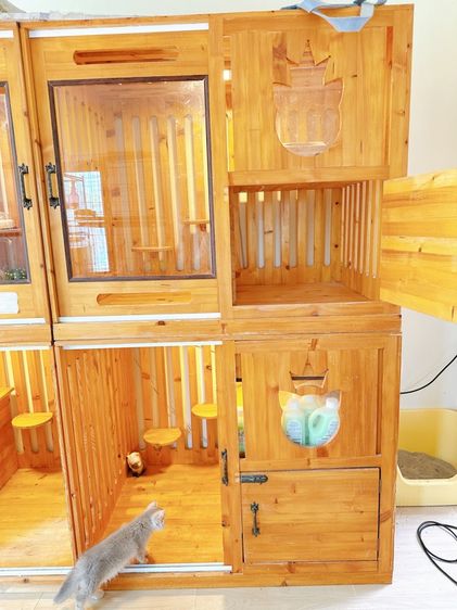 ตู้แมว รูปที่ 2