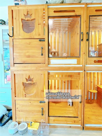 ตู้แมว รูปที่ 6