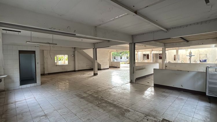 ขาย หรือ ให้เช่า โกดัง 300 ตร.ว. ซอยธนสิทธิ์ 6 บางปลา บางพลี สมุทรปราการ รูปที่ 3