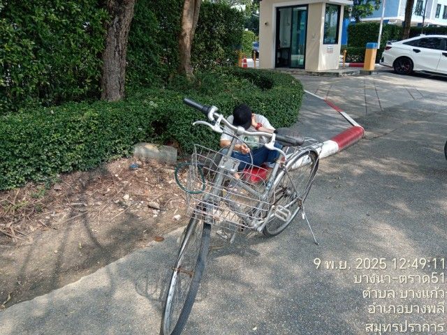จักรยาน​แม่บ้านคลาสสิก รูปที่ 4