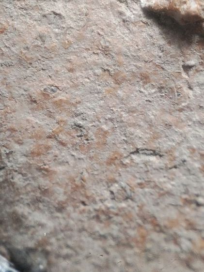 พระขุนแผนใบพุทราเนื้อดินเลี่ยมเงินแท้ครับ รูปที่ 12