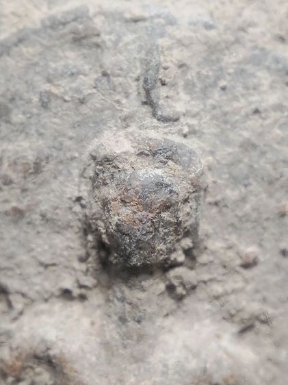 พระขุนแผนใบพุทราเนื้อดินเลี่ยมเงินแท้ครับ รูปที่ 8