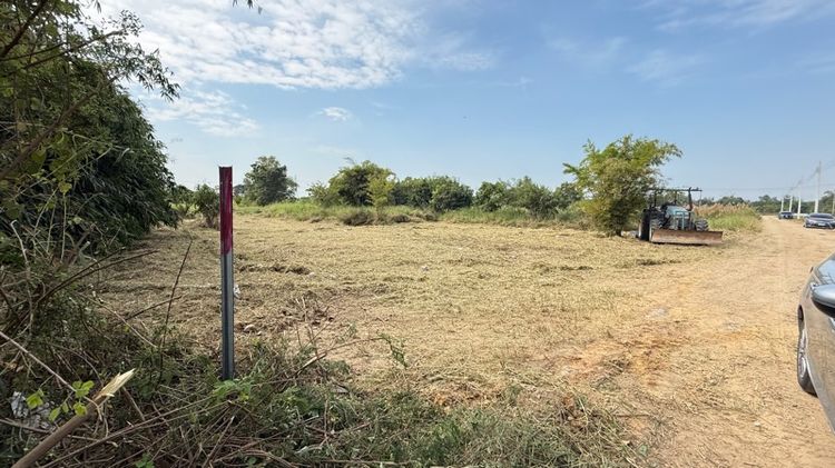 ไม่ใช่ ขายที่ดิน 330 ตารางวา รูปที่ 4