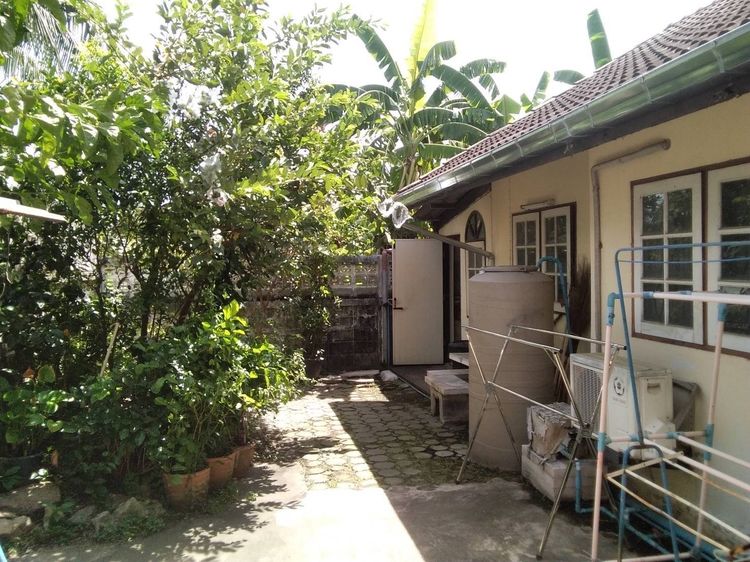 อื่นๆ ไม่มี สร้างเสร็จก่อน 2010 บ้านพร้อมที่ทีดิน 110 ตารางวา ถ เเจ้งวัฒนะ จ นนทบุรี รูปที่ 4