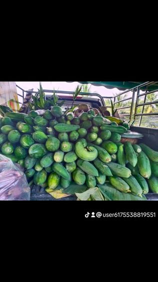 บ้านสวน รูปที่ 3