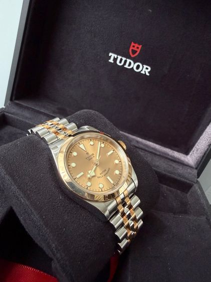 Tudor Rotor รูปที่ 3