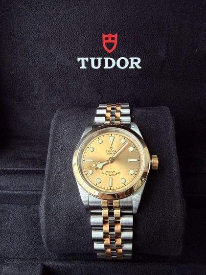 Tudor Rotor