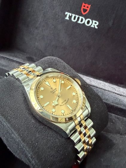 Tudor Rotor รูปที่ 4