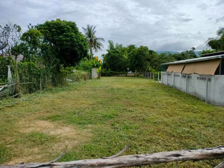 ที่ดินใกล้เขาเขียว136ตรว. ขายขาด หรือ ขายผ่อนตรง 1.17ลบ. รูปที่ 3