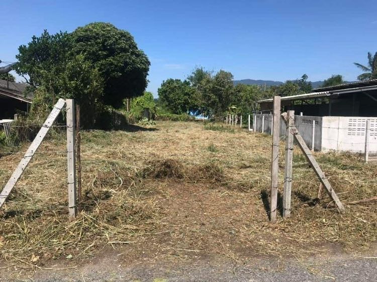 ที่ดินใกล้เขาเขียว136ตรว. ขายขาด หรือ ขายผ่อนตรง 1.17ลบ.