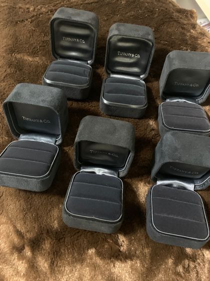 กล่องเครื่องประดับ Cartier และ Tiffany  รูปที่ 14