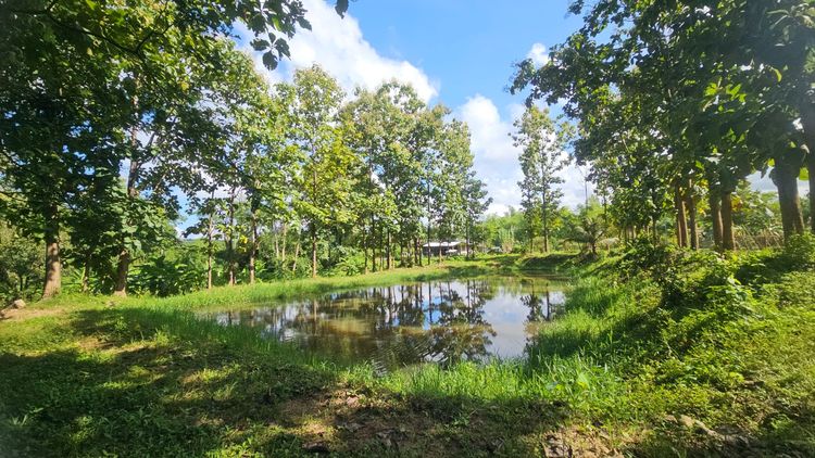 ขายที่ดิน ทำเลดี ใกล้แหล่งท่องเที่ยว Land for Sale near Tourist Attractions 