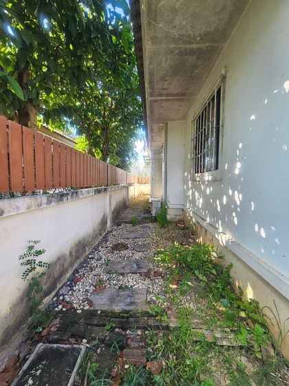 ตกแต่งครบ ขายบ้านวิวนาน่าอยู่ ย่านสันผักหวานหางดง น้ำไม่ท่วม บรรยากาศร่มรื่น รูปที่ 3