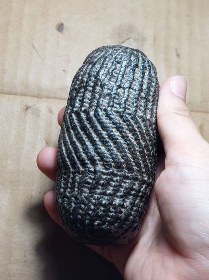 เครื่องรางตะกรุดหลวงพ่อโพธิ์วัดวังหมาเน่าพิจิตรเก่าๆ รูปที่ 6