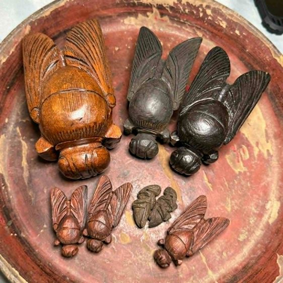 แมaงภู่คำหลวง ล้านนา ยกคู่เดี่ยวตัวดำ เนื้อไม้ดุมล้oเกวียu​ ทาทoง