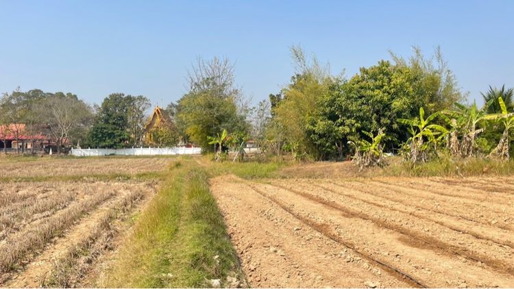 ใช่ ขายที่วิวภูเขายกแปลง3ไร่2งาน97วา โฉนดพร้อมโอน รูปที่ 4