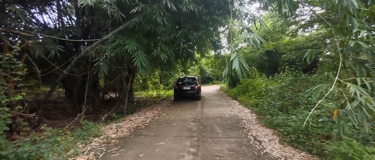 ขายที่สวน110ตรว​280,000ฟรีโอน​ ห่าง7-11และตลาดสด​เพียง1โล   