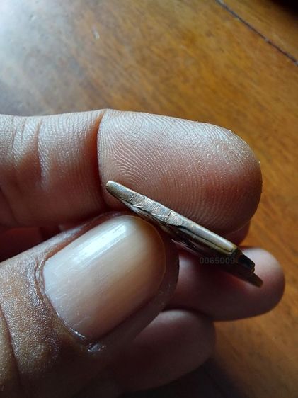 หลวงปู่ทวด รูปที่ 5