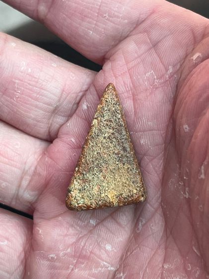 นางพญา รูปที่ 3