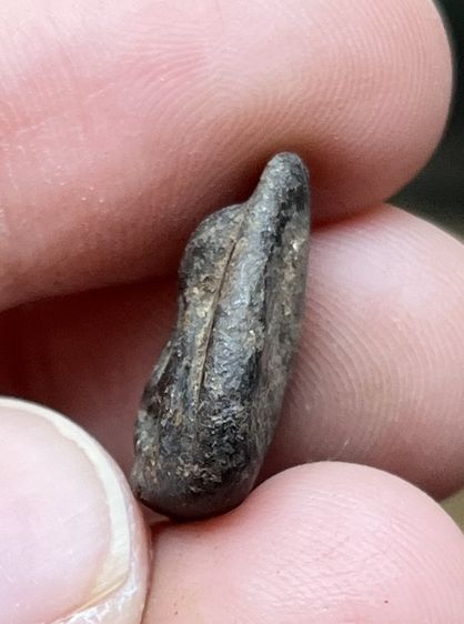 พระปิดตา รูปที่ 5