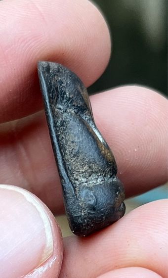 พระปิดตาหลวงพ่อแก้ว รูปที่ 3