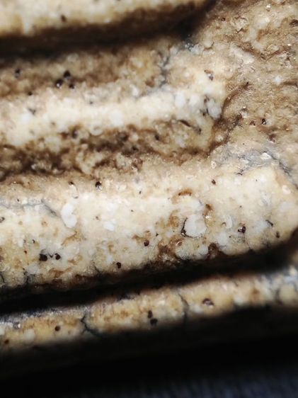 พระสมเด็จเนื้อหามวลสารเต็มครับ รูปที่ 12